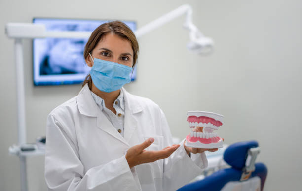 Best Emergency Dentist for Knocked-Out Tooth in Falmouth Foreside, ME
